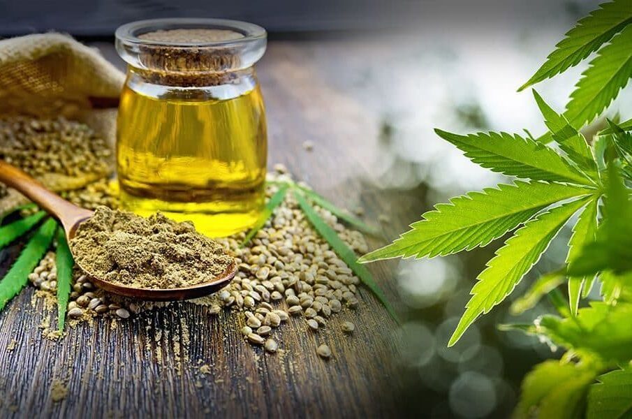 CBD Oil