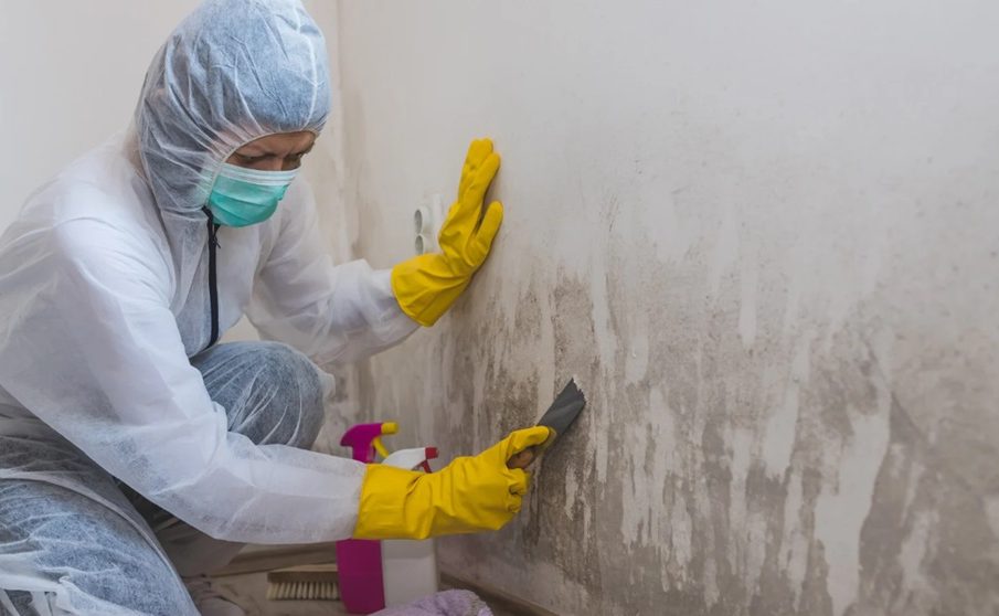 Mold Remediation